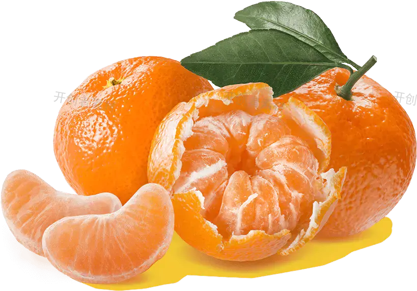 橙色已剥开橘子实物图png免抠元素
